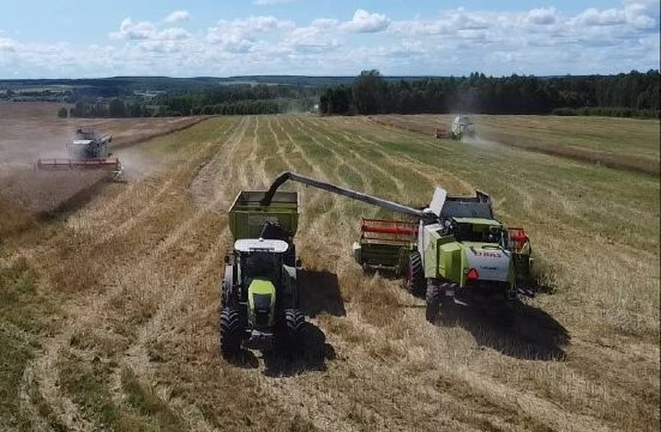 Фермеры региона увеличили сбор зерновых на 17 процентов
