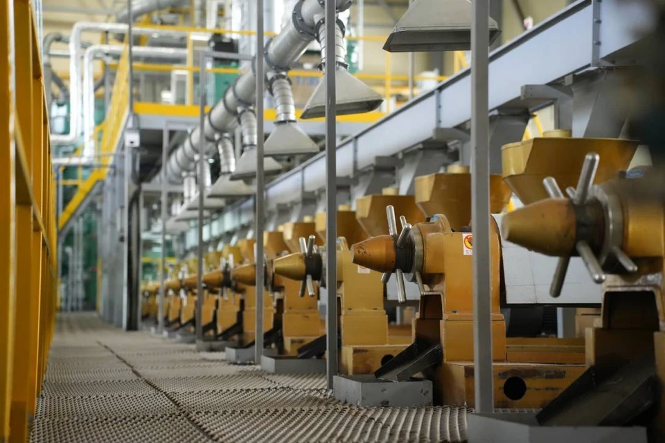 Значительное увеличился экспорта масличных культур, масложировой и молочной продукции, а также в продукции из дикорастущего сырья.