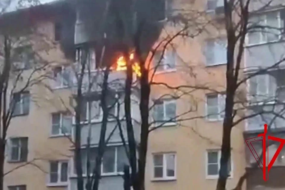 Росгвардейцы вывели из огня 15 человек при пожаре в квартире в Воскресенске