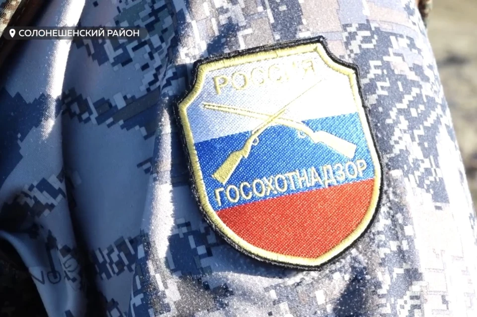 Теперь браконьерам грозит большой штраф и уголовная ответственность. Скриншот видео "Толк"