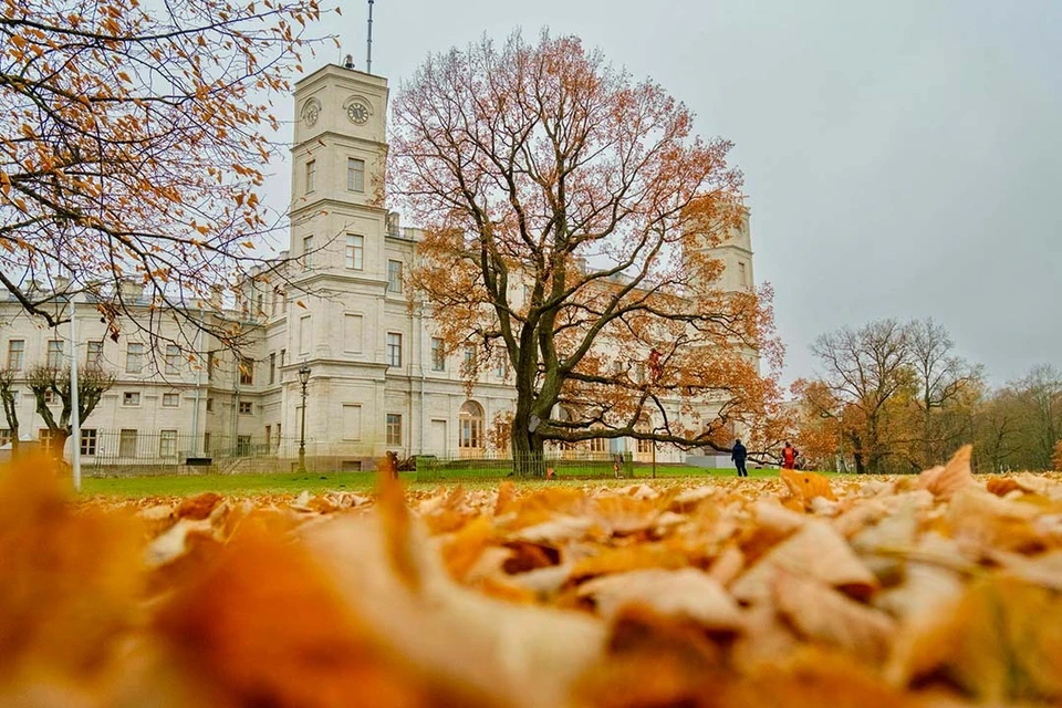 Он работает с 06:00 до 22:00. Фото: Сергей Рятте/ГМЗ «Гатчина»