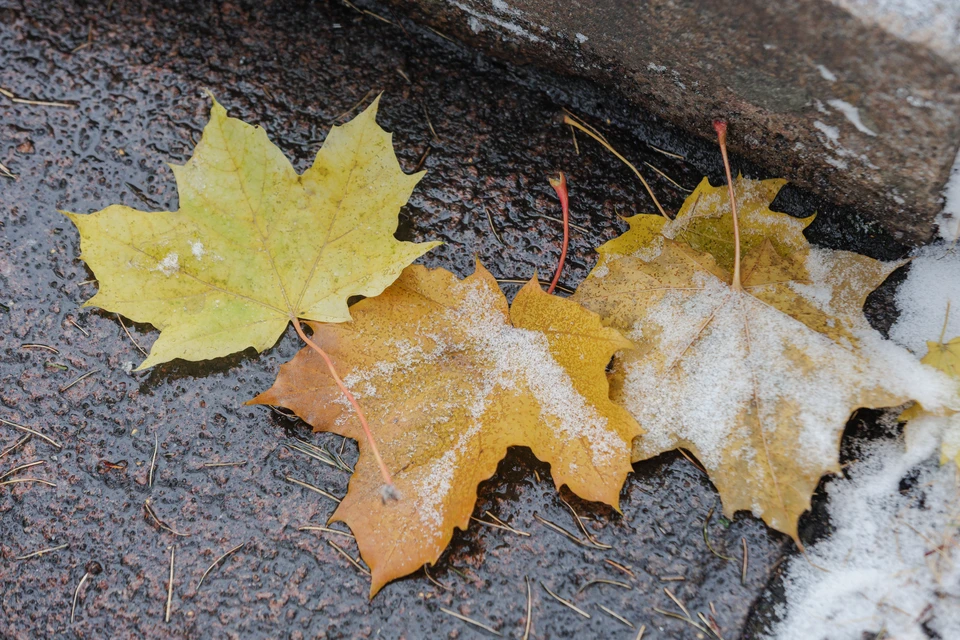 Смешанные осадки "порадуют" оренбуржцев в первые дни ноября