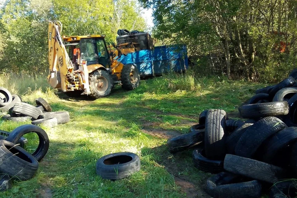 Нарушение представляло угрозу для окружающей среды.