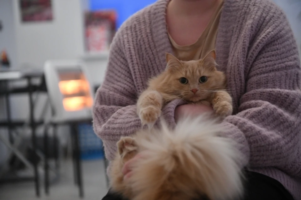 Сотрудники минЖКХ Хабаровского края проверили жалобы на отопление в поселках