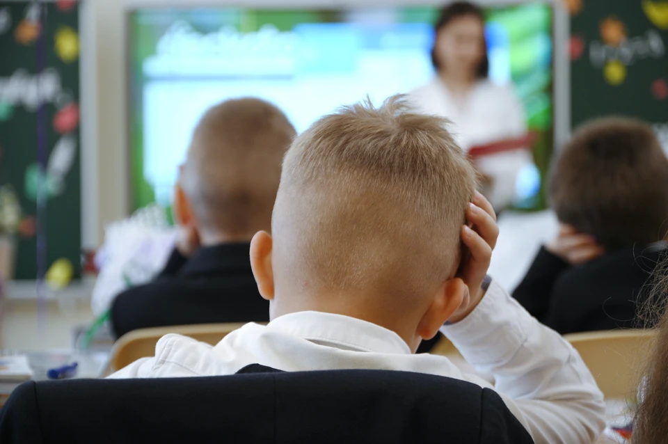 В Петербурге школьники работают над необычным проектом.