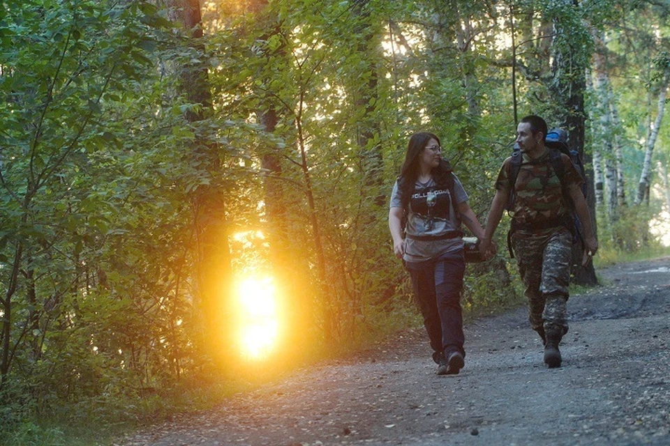 Наибольшее количество правонарушений связано с несоблюдением правил санитарной безопасности.