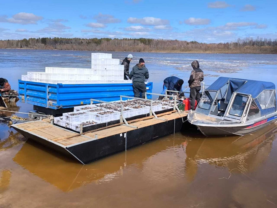 Фото: пресс-служба департамента охотничьего и рыбного хозяйства Томской области