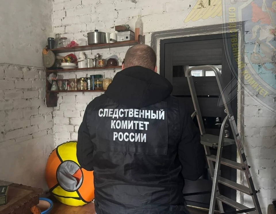 Источник: пресс-служба СУ СК России по Костромской области