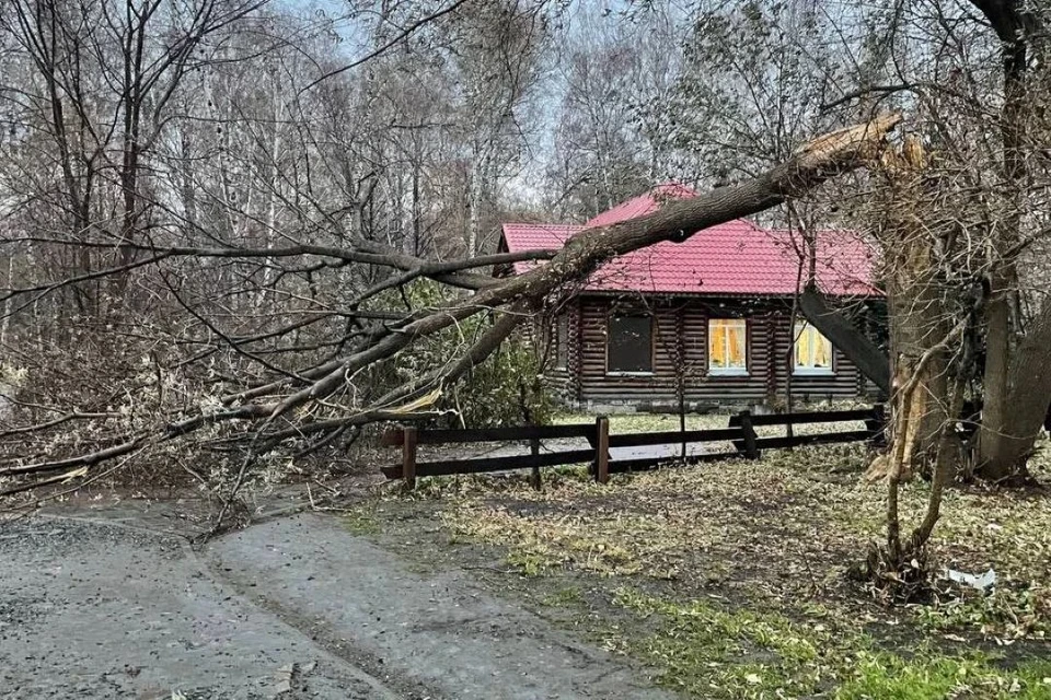 Бригады восстановили свет в Мочище, работы идут в нескольких районах города. Фото: предоставил очевидец