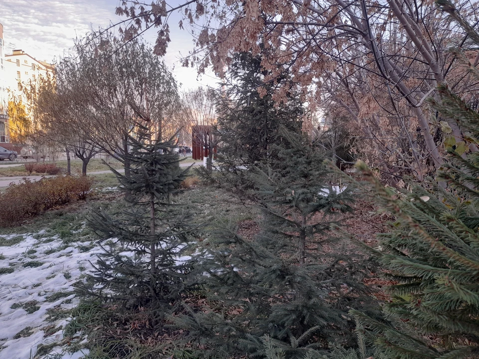 Погода в Тюмени до 3 ноября