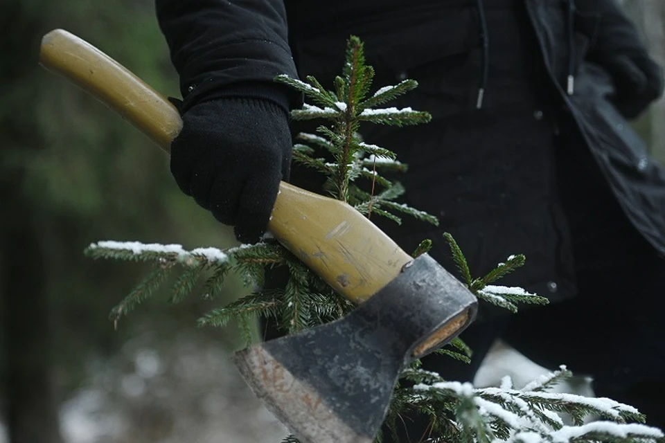 Гуляющую с топором женщину задержали в Верхневилюйском районе