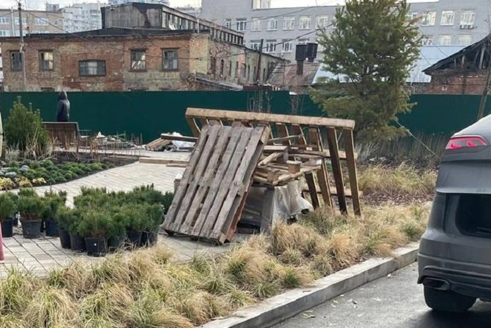 Уральцам предлагают купить чужие саженцы по сниженной цене. Фото: URBAN GREEN