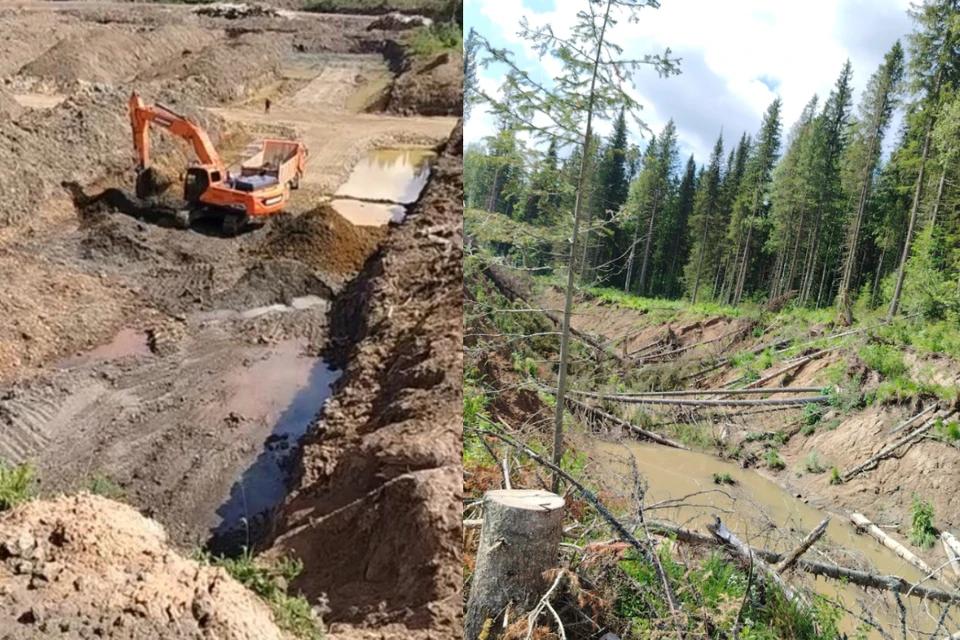 Золотодобыча на реке Кельбес была остановлена. Фото: Пресс-служба минприроды Кузбасса