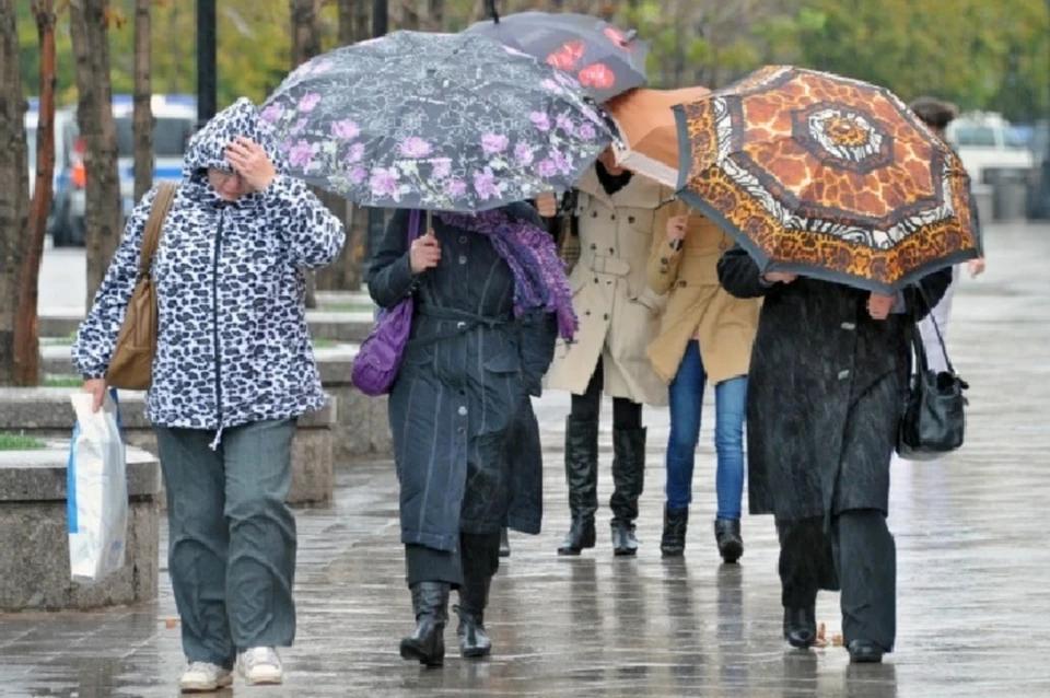 Ожидаются порывы ветра до 14 метров в секунду