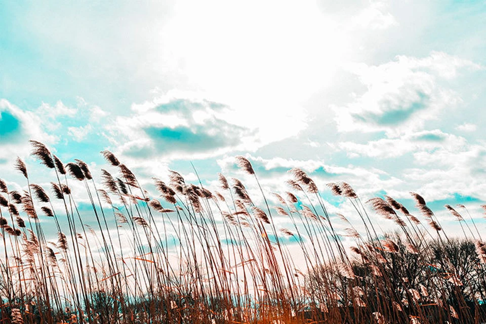 В Ижевске ожидают сильный ветер. Фото: freepik.com