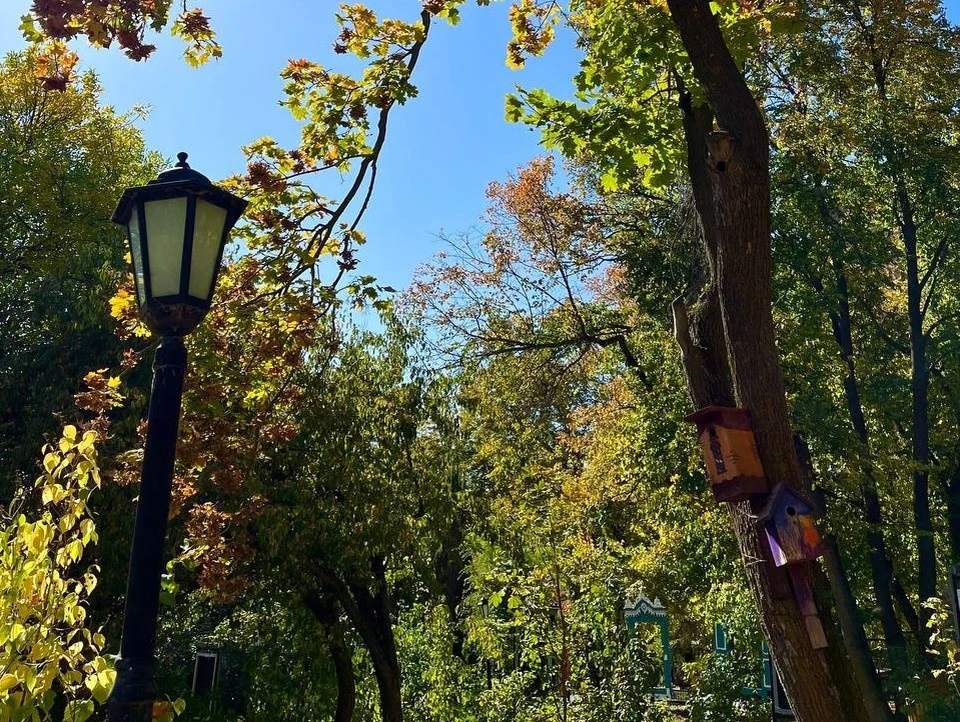 Фото: парки Ульяновска