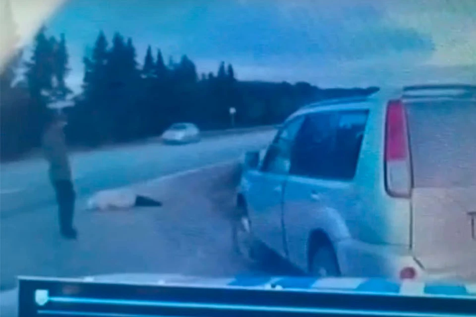 Кадр с лежащей женщиной с видеорегистратора Госавтоинспекции по Удмуртии