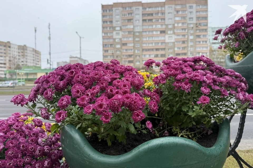 Узнали приметы и запреты на 5 ноября, когда отмечают Яков день. Снимок носит иллюстративный характер. Фото: архив «КП»