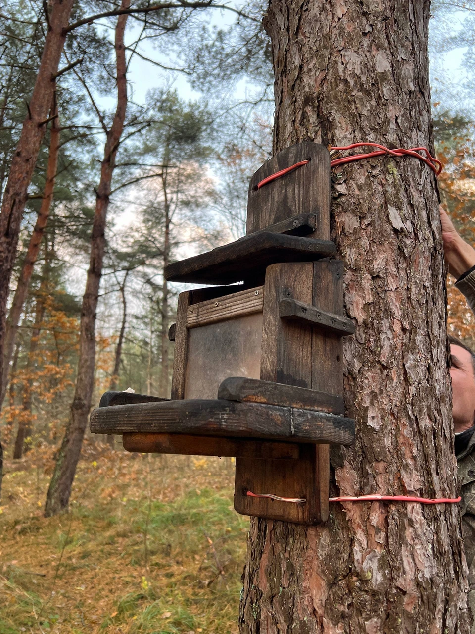 Фото: телеграм-канал директора зоопарка.