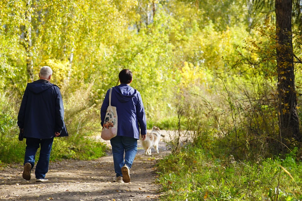 Фото: архив КП