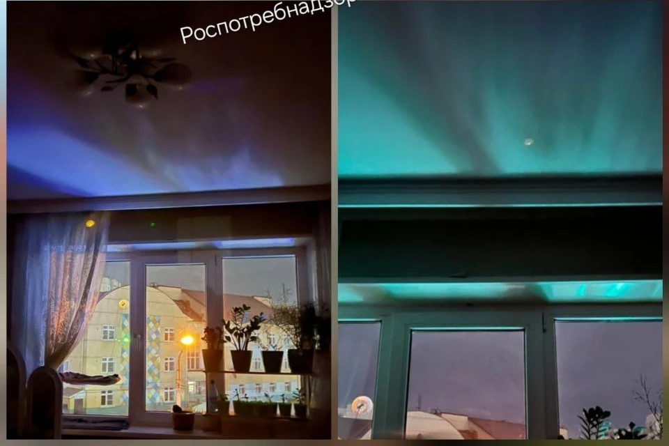 Фото: Роспотребнадзор Красноярского края