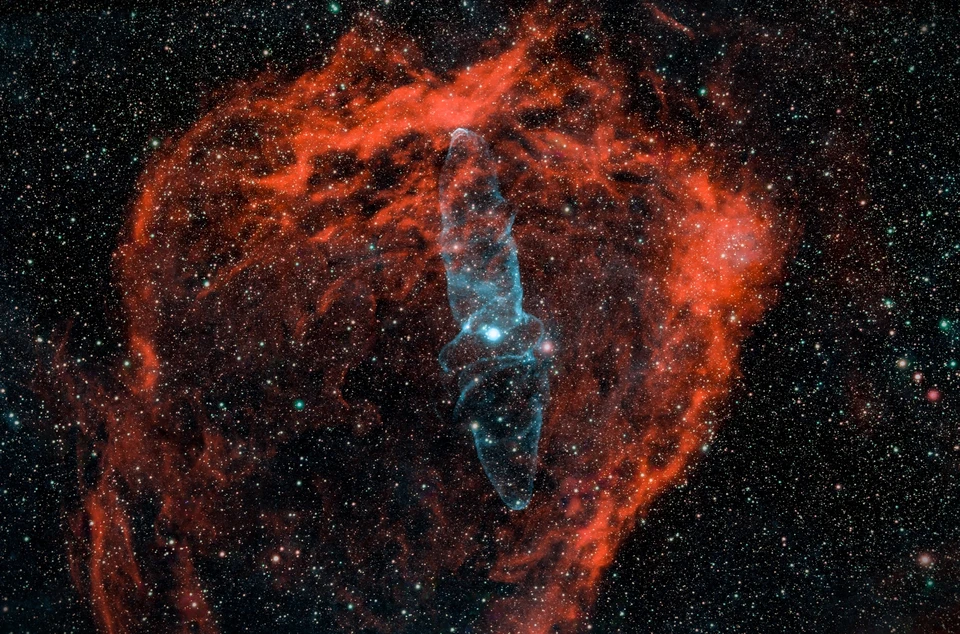 Космический кальмар. Фото: Иван Кузнецов