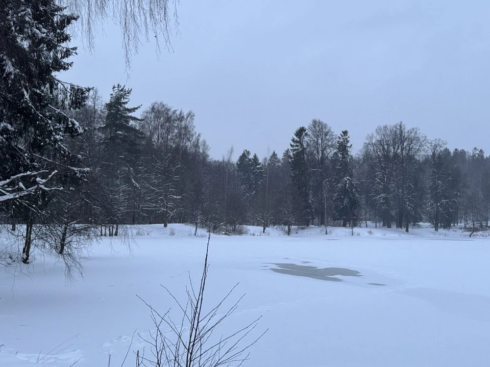 В Тюмени и области зарядят долгие дни снегопадов и дождей.