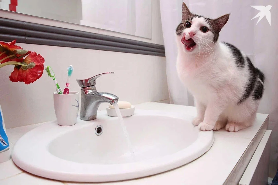 Горячая вода может окраситься в зеленый цвет у некоторых минчан. Снимок носит иллюстративный характер.