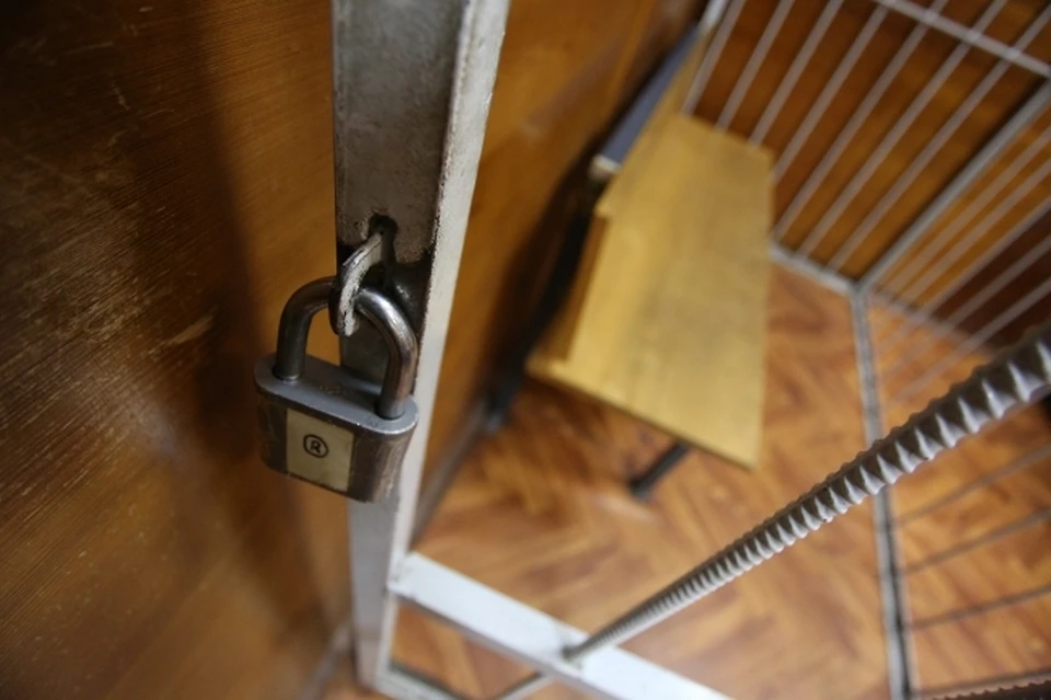 Директор магаданской горнолыжной школы осужден за травму спортсменки