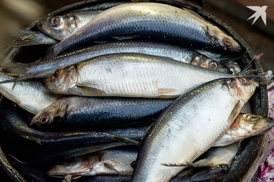 Предприятие, выпускающее рыбные консервы в Мурманской области, привлекли к административной ответственности.