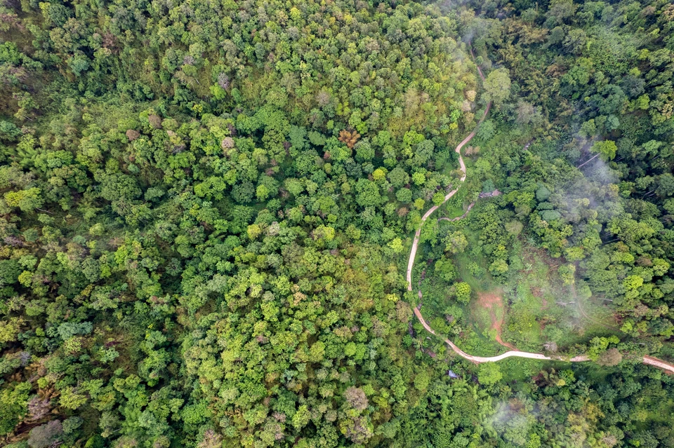 Фото: freedomnaruk/Shutterstock/Fotodom