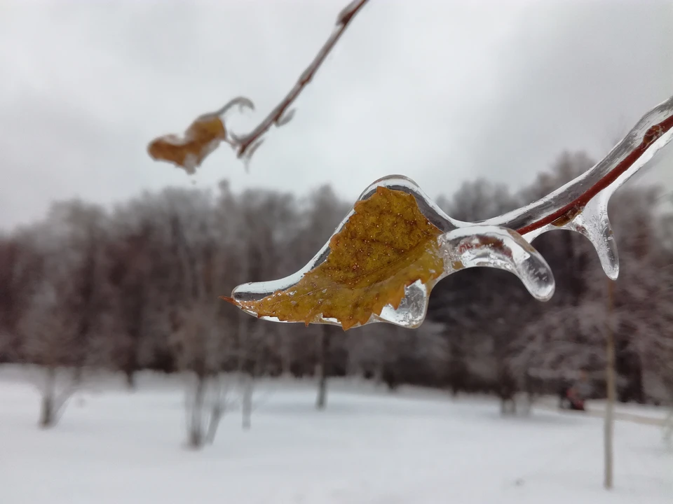 Синоптики предупреждают о гололеде и снегопаде в регионе.
