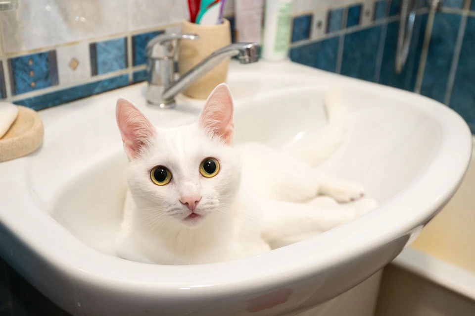 В Геническом округе временно ограничена подача воды