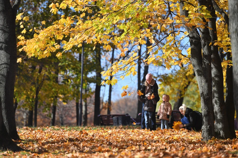 Восемь городов Кубани вошли в десятку самых теплых в России 5 ноября Фото: Иван МАКЕЕВ
