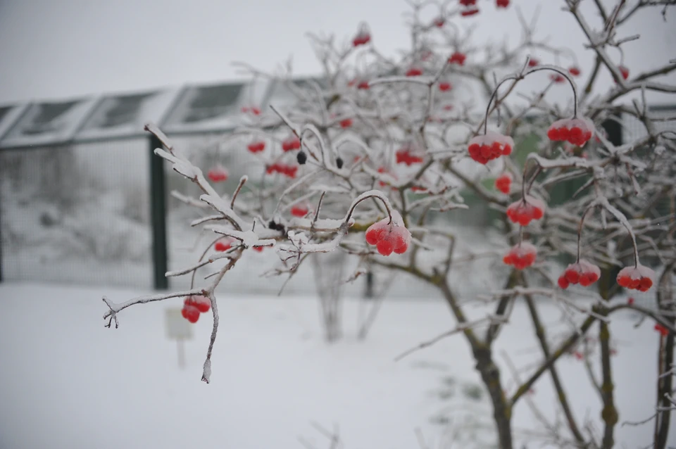 Синоптики предупреждают о гололёде и понижении температуры в республике.