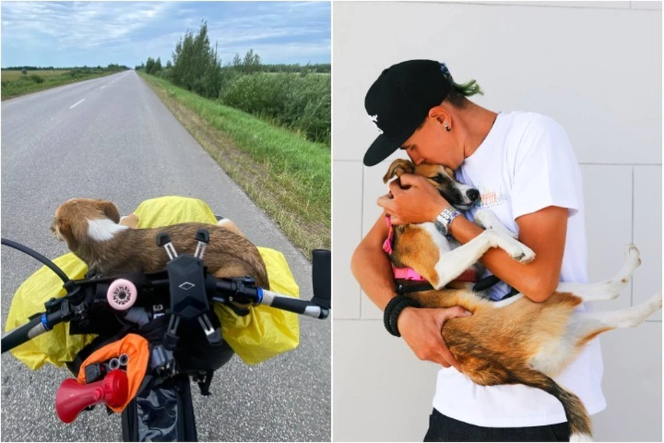 Колбаска доехала с Даниилом до Санкт-Петербурга. Фото: личный архив.