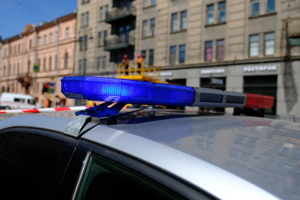 Хотя кинологи и прервали веселье пассажиров, запрещенных веществ в автобусе не нашли.