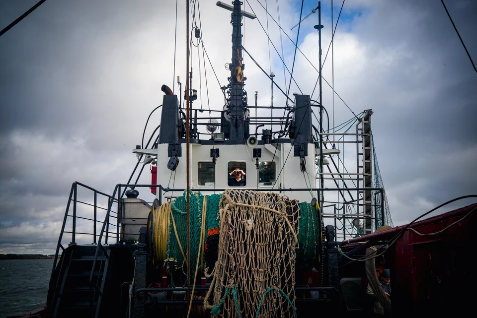 Продукция отправилась на экспорт с территорий Приморского края и Сахалинской области.
