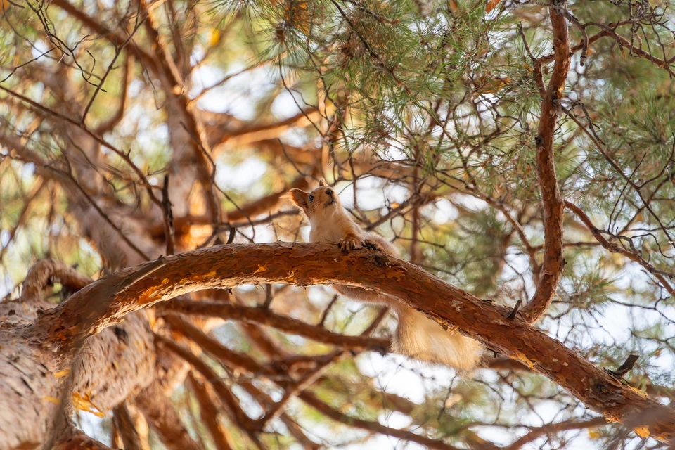 Фото: архив КП