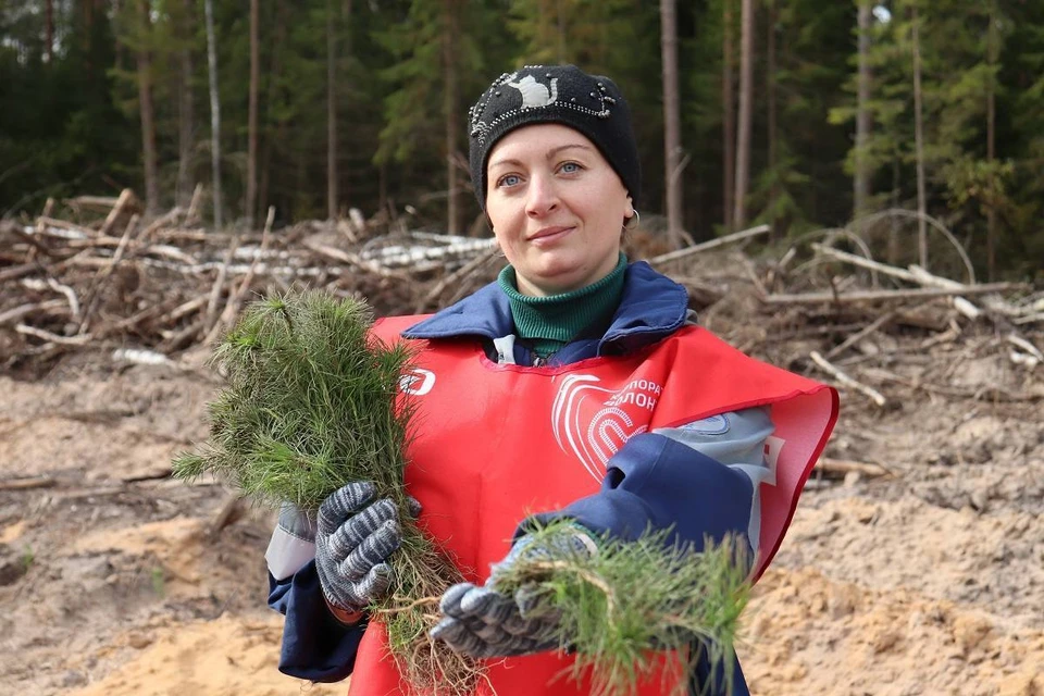 Фото: Правительство Смоленской области.