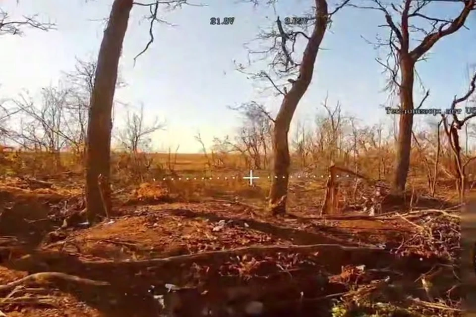 Подразделение «Горыныч» уничтожило две ДРГ ВСУ в районе Константиновки. Фото: УФСБ России по ДНР