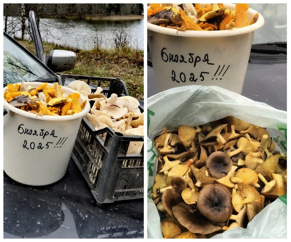 Фото: Ирина Нагаева.