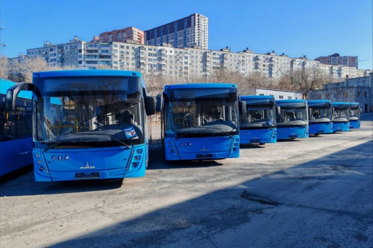 Комфорт и безопасность: Владивосток готовится принять новую партию современных автобусов