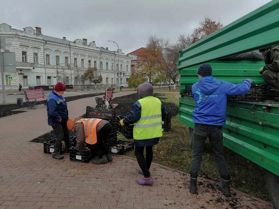 Ульяновск перевыполнил план по озеленению города. ФОТО: Центр по благоустройству и озеленению Ульяновска