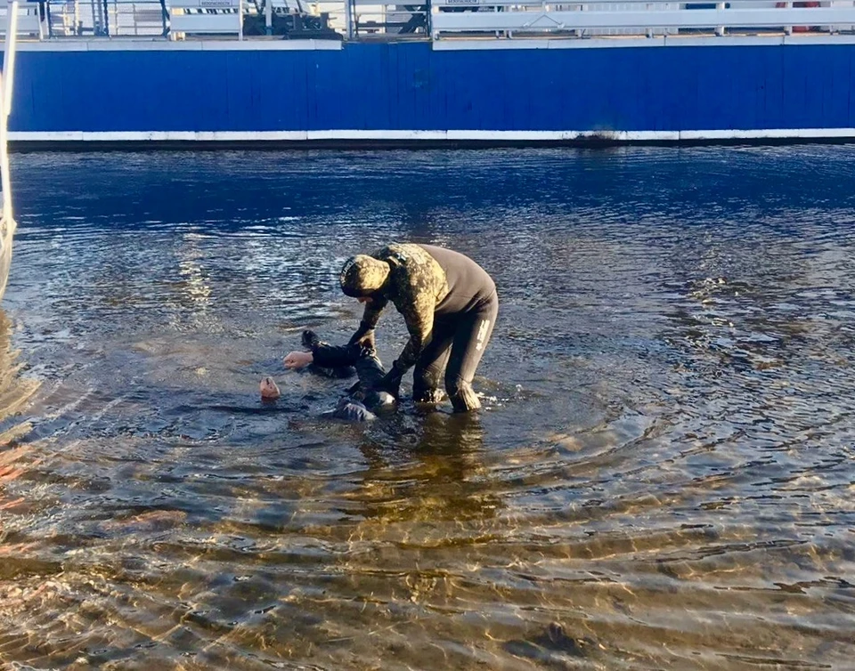 Тело погибшего водолазы передали полиции. Фото: ГКУ "Служба спасения".
