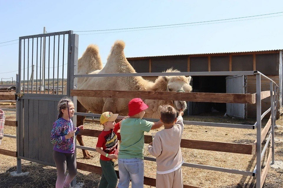Благодаря экофермам туристический поток в этом году вырос на 30%. Фото: администрация Предгорного округа.