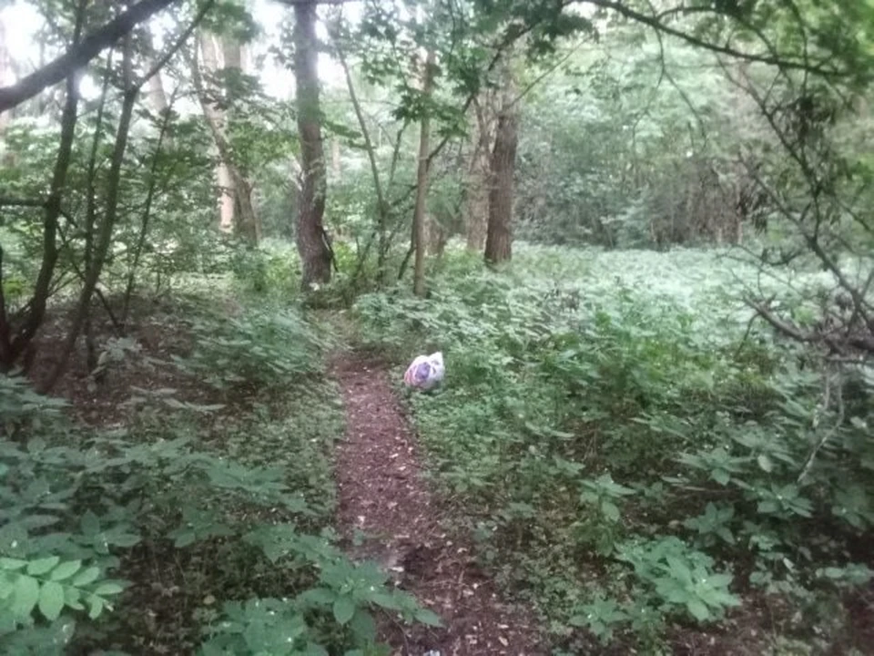 Утром в регионе возможен туман