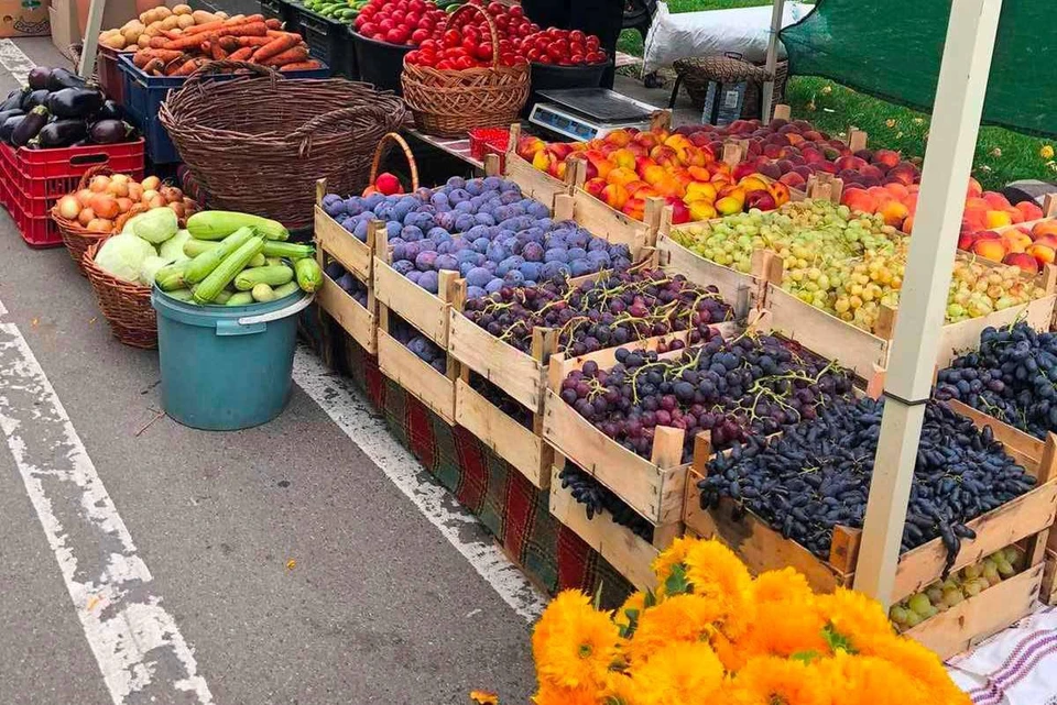 Фото: соцсети