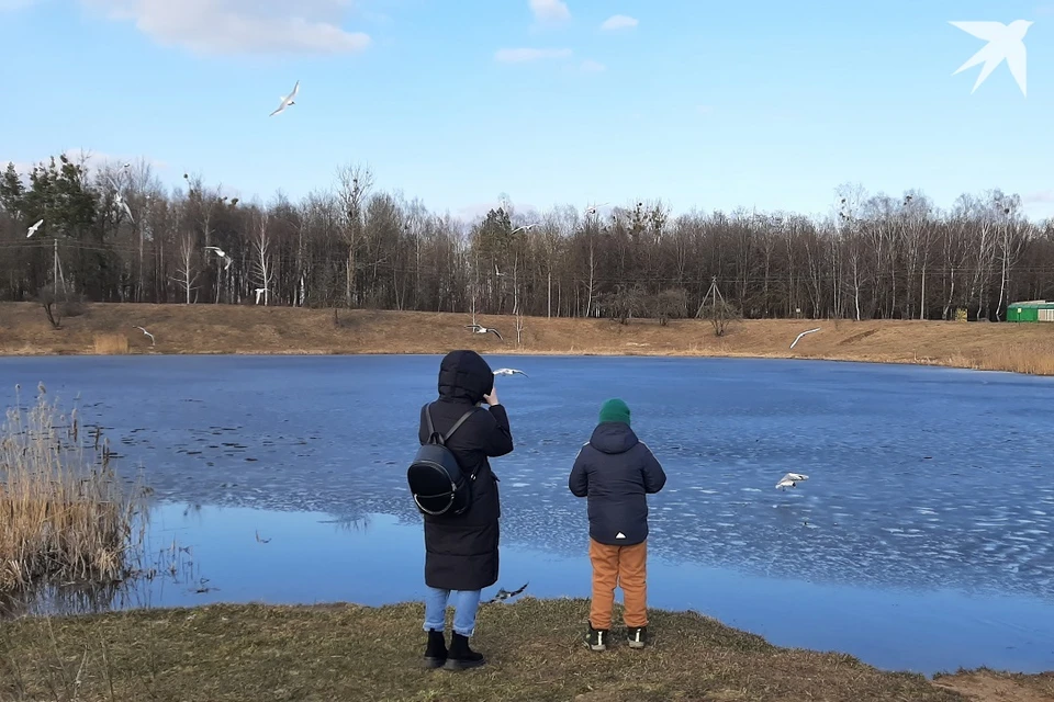 Стал известен прогноз погоды в Беларуси на неделю с 10 по 16 ноября. Фото: архив «КП».