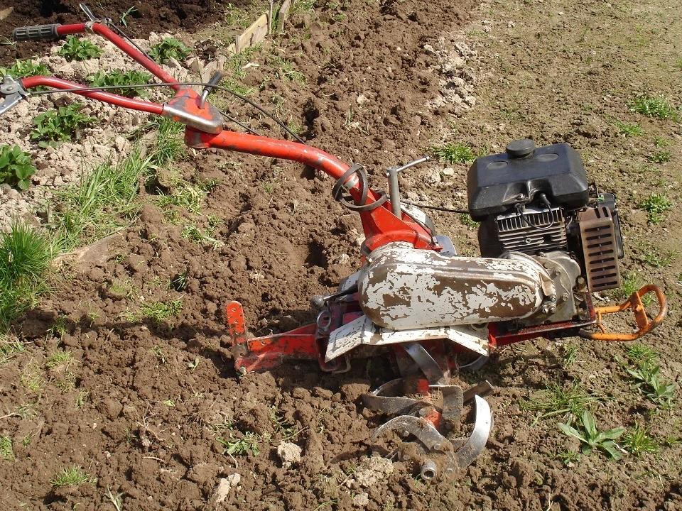 В Кировской области выдали предписание владельцу заросшего участка